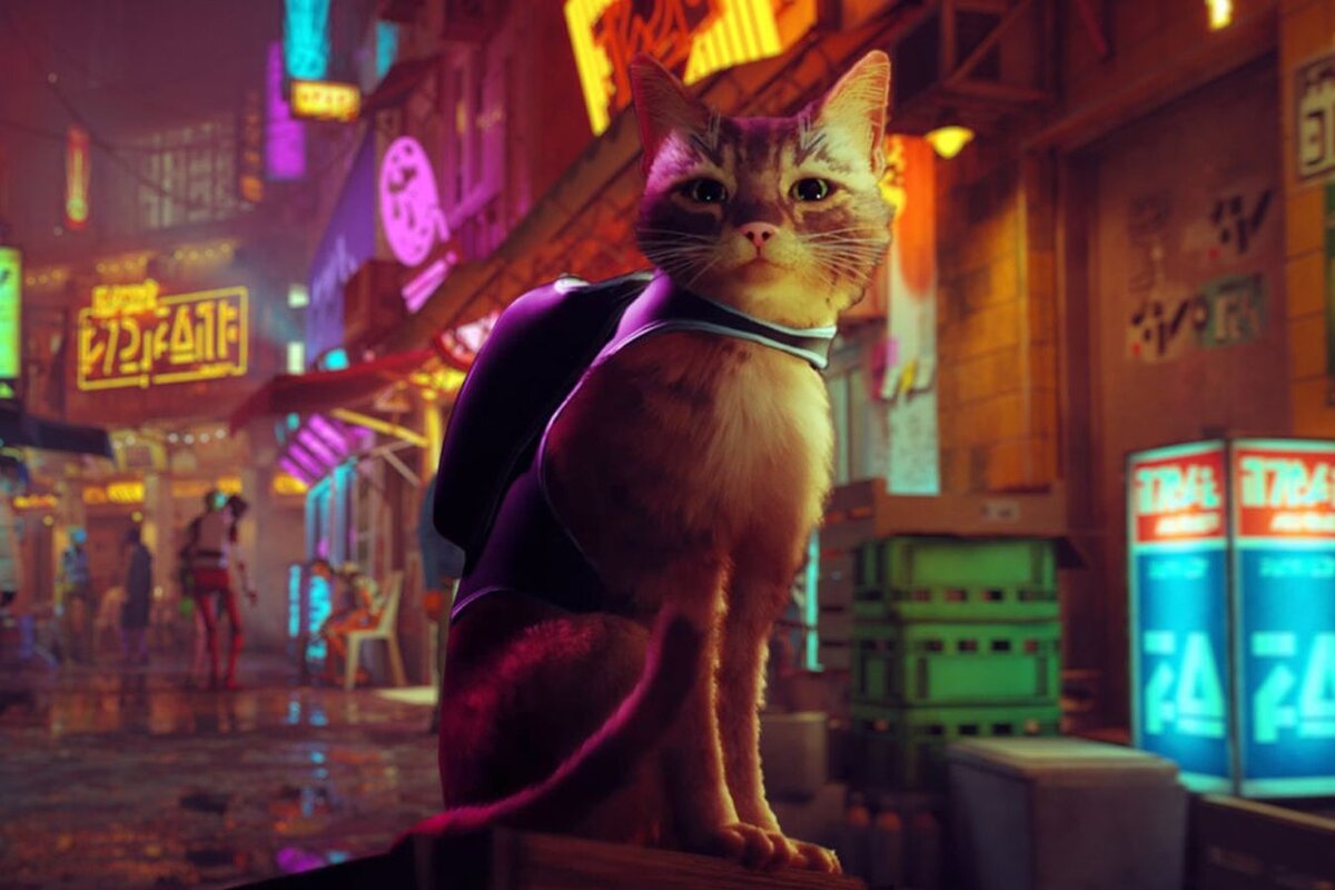 Киберпанк где кошачий корм. Stray игра. Stray игра 2022. СТРЕЙ игра про кота. Кот киберпанк.