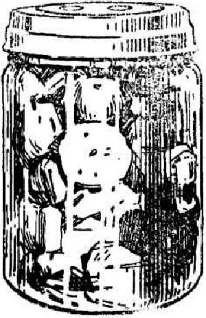 Рис. 1. Банка типа «Векка», образец 1-й.