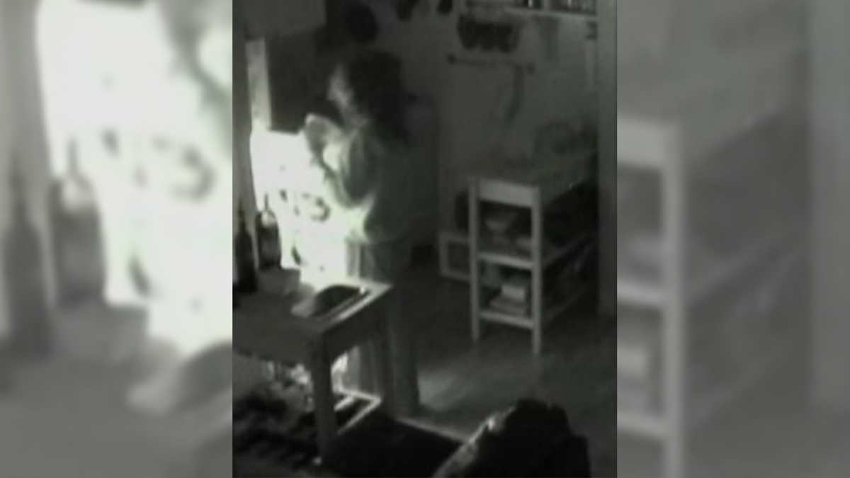 Фото со скрытой камеры хозяина