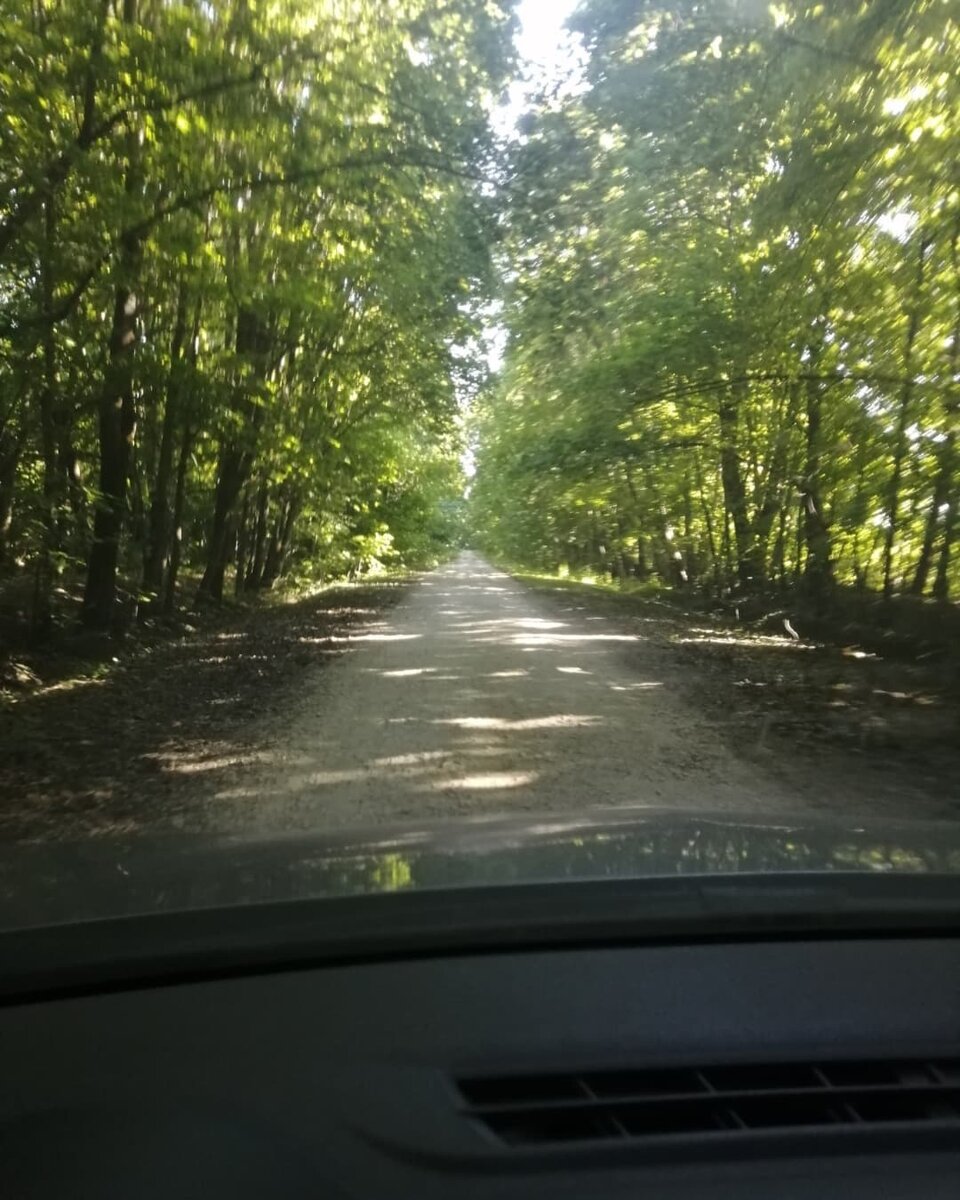 Дорога к Усадьбе. 