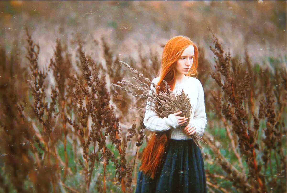 Яндекс Картинки