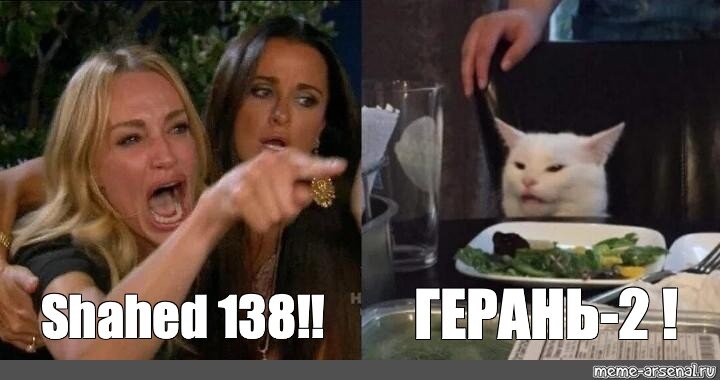 Разъяренная женщина не права. Все таки это более 136-й. Но кот непреклонен. Картинка из свободного доступа. 