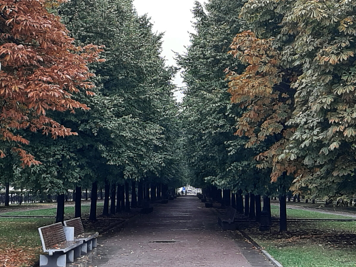 фото Цветной бульвар