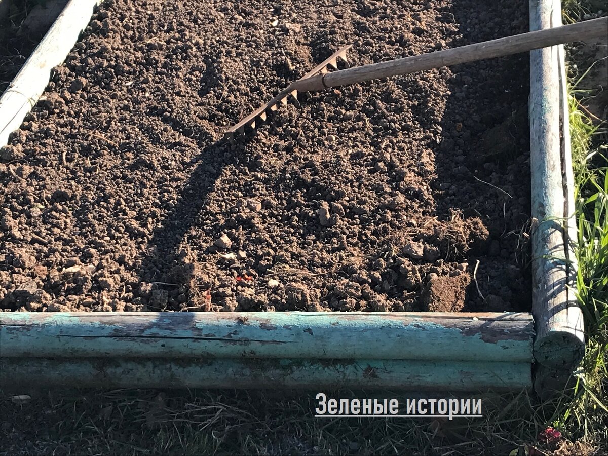 Такие высокие грядки у меня - уже пообносились, ну ничего, весной покрасим