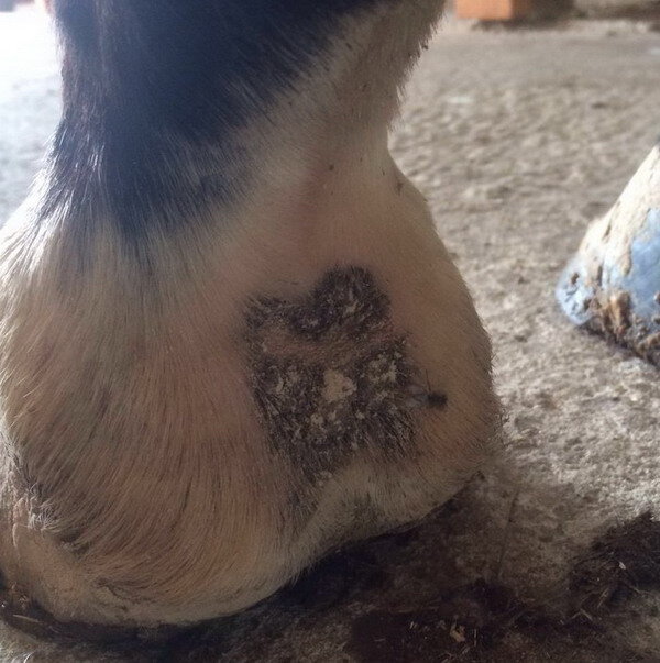 Фото из свободных источников. Наглядный пример проблемы. Один из вариантов.