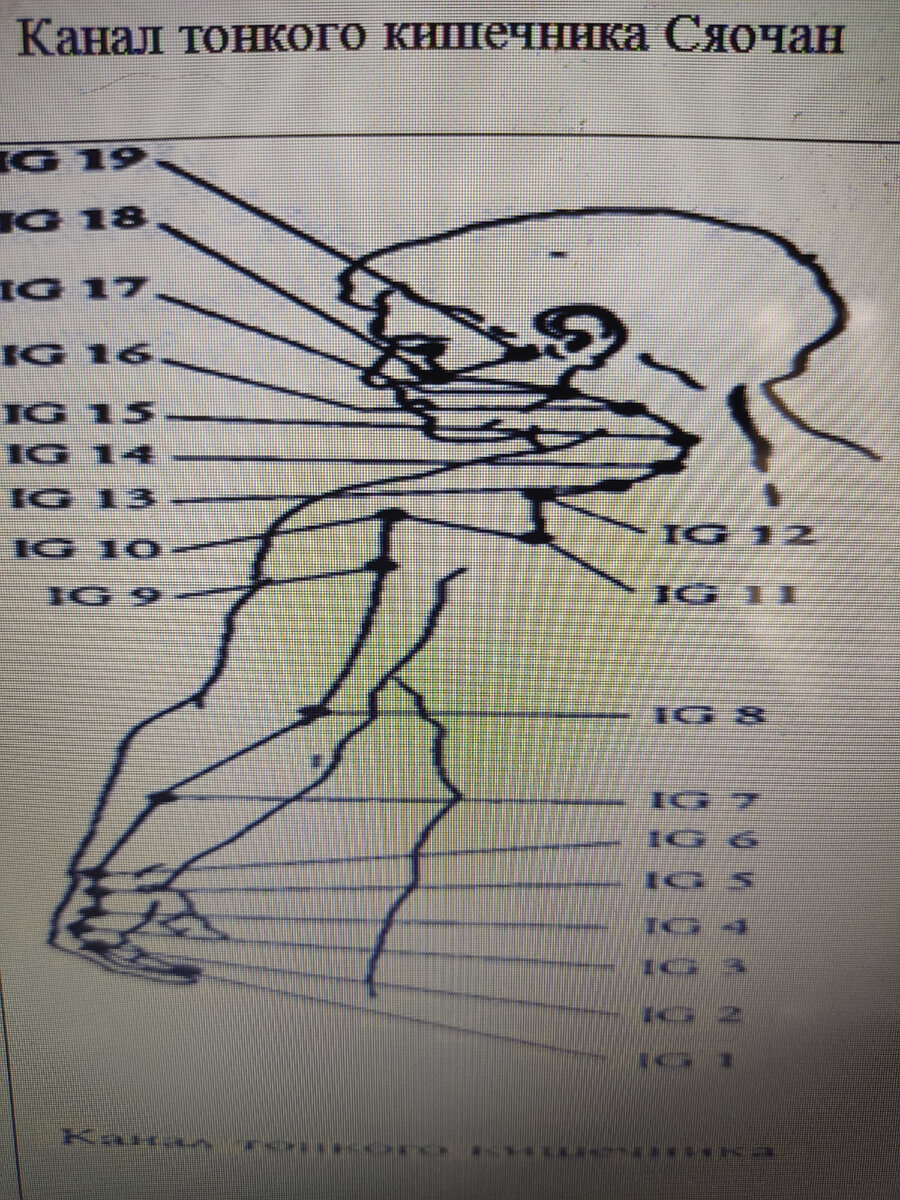 Эти симптомы могут говорить о нарушениях в меридиане тонкого кишечника! Шум  в ушах, перепады настроения, боль в шее и др. | Ролан Сэнсэй - Психология  самоисцеления! | Дзен