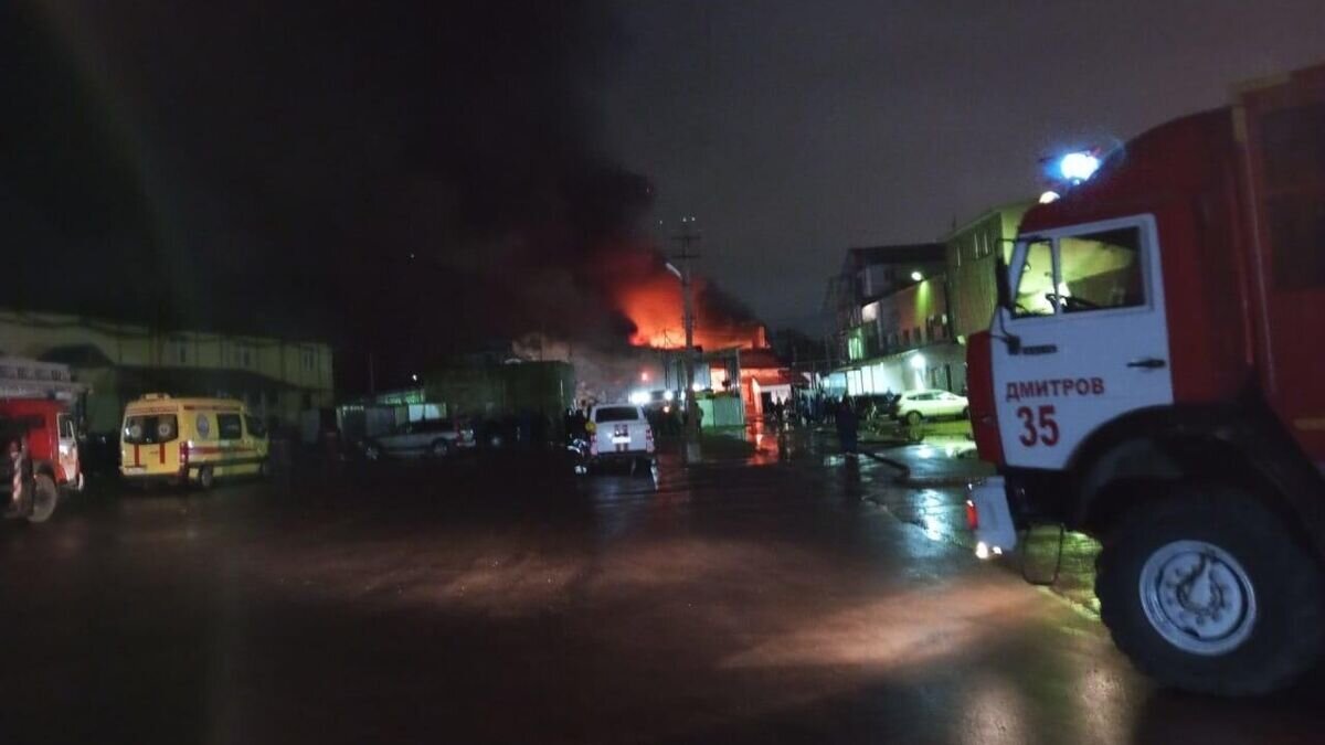    Тушение пожара на хладокомбинате в подмосковном Дмитрове© Фото : ГУ МЧС России по Московской области