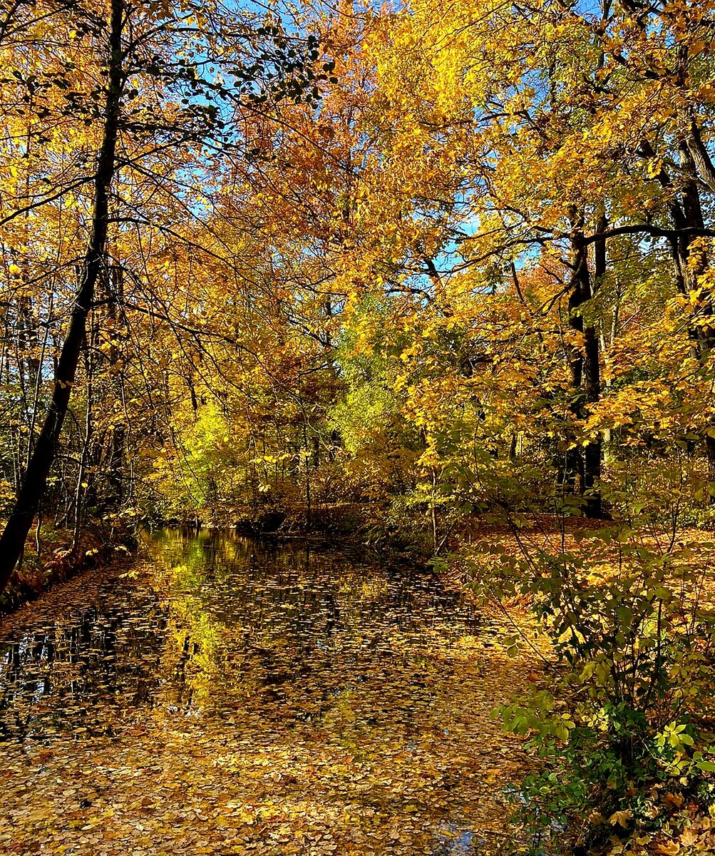 Кусочек моей осени - вам
