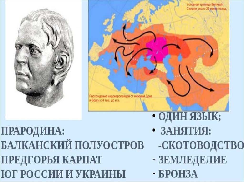 Прародина человека 11 класс биология. Индоевропейцы реконструкция. Древние индоевропейцы. Индоевропейцы внешность. Антропология индоевропейцев.