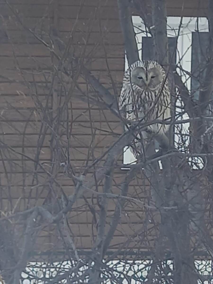 Красота, не правда ли?