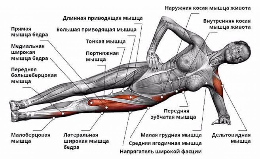Упражнение планка для спины