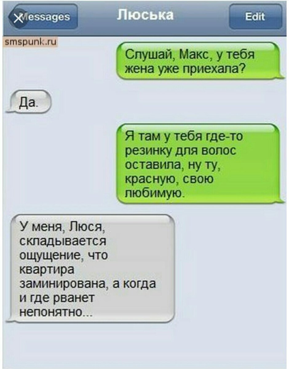 Парень предложил завести собаку. Я согласилась и узнала много нового о своем любимом