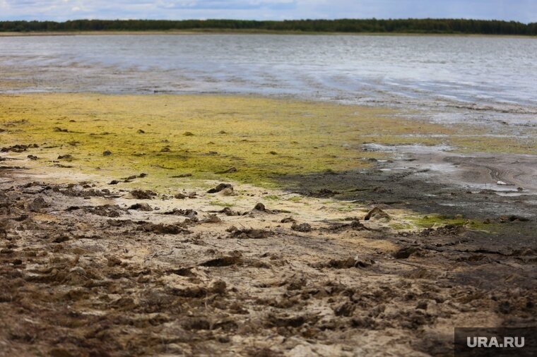    Курганские озера пересыхают из-за постоянно жары
