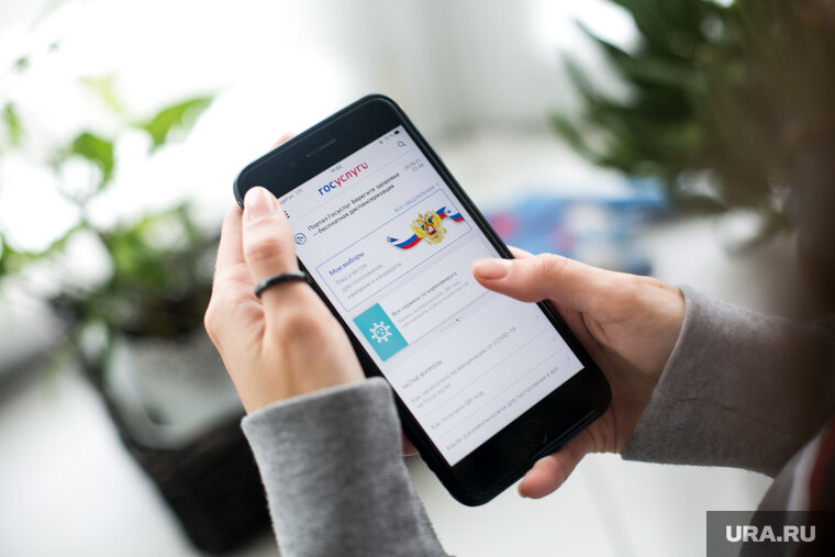    В России будет собрана рабочая группа для улучшения механизмов наблюдения за ДЭГ