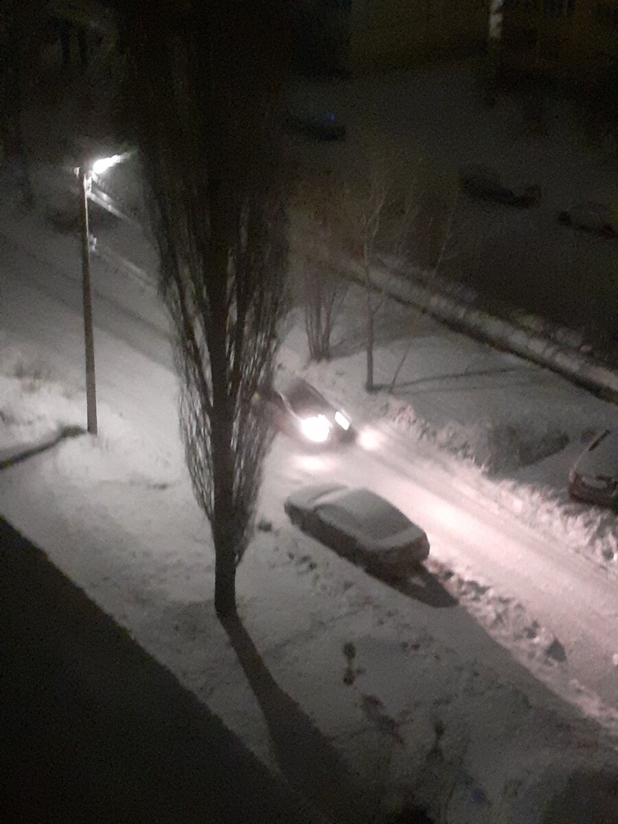 Хитрый белый снег 