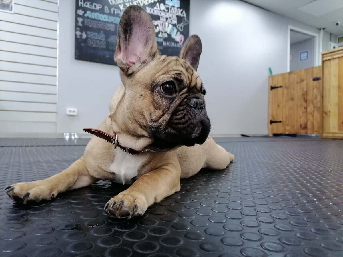 Уход и здоровье