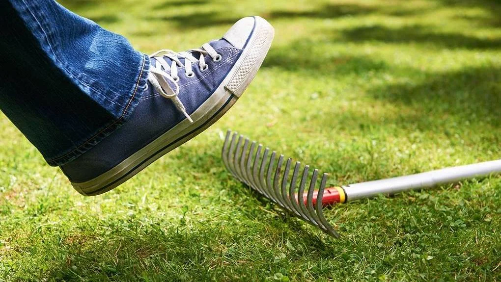 Источник фото: Яндекс Картинки