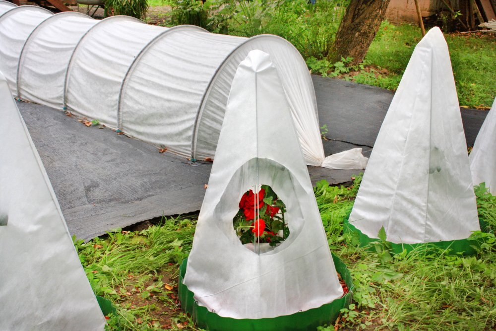 Открываем укрытия постепенно