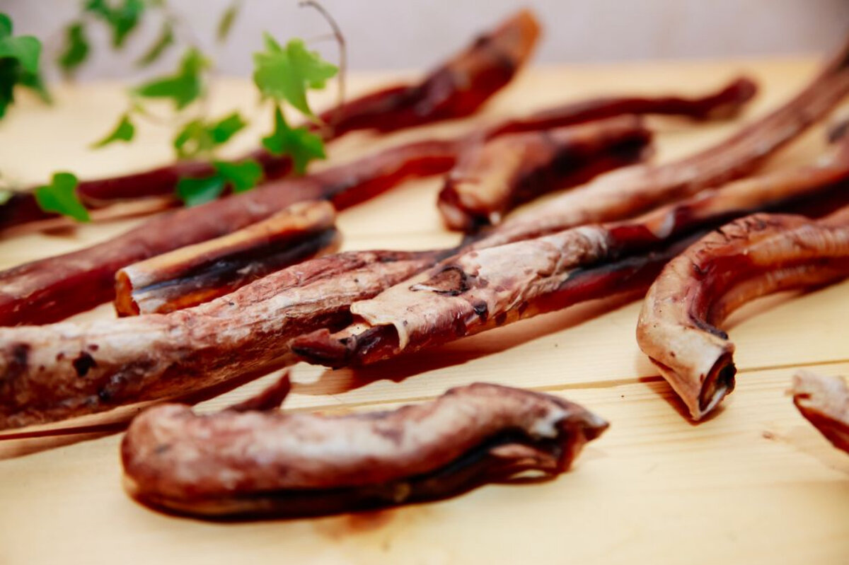 фото: открытые источники