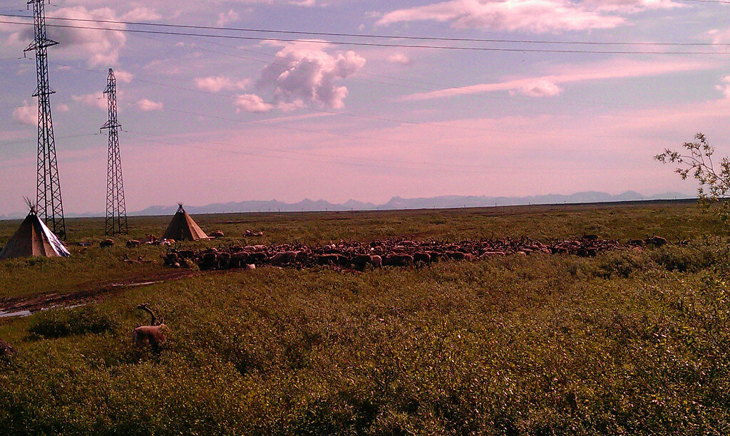 фото - https://yandex.ru/images/search?cbird=5&rpt=imageview&redircnt=1619363546.1&url=https%3A%2F%2Fyandex-images.clstorage.net%2F9HMs9n382%2Fee5decwOO_%2FUL_mq-LqZ58L2pRRPUkysg2lI56So55hwIy3MzDYterTknG1UstzhNA3-HlKvbN_Pd8gSMQoLmdv4f6GhYXZiU2OjNGnuFaQIOrXFiUTea5RtSWvqYenDfGmkVUQ9I--25F0t0-WLJLtAaolF8zGIEGKTCnTP2hUTvTbnbfRxIZ4prPKqd5Ujhb2rUB0fSOLTKsrtbW8sTrrrK5JGs6Dvu--YbNuzx2j0SThHCPDwDlcoUAJ4AJKcm3-yZ6c-ceCT6qo1ZneaZoF145zeWEdo3mICqibs7QJ2bybfi3Et4D5u2CqYdEWo8EOwh4d4MElYoxsKsEKbENYxcm7hfrYg2aon8Gc33SJDfSUcX5cE6lWmju-vIOVF8GNs00y9o218rdJk23JBJfFCMkVCdf-AXKheh_kJmpba9_fv5je_LNkioTChsdUmTTyikR0QCOyZaYWlbWOrzfqnKR9Ef6lidKPQpZW9jeRxT_oBS7A5Bxas20e1i1YRVLo2pKd0c-_TZyrw4TNSZsY6ZN1UlMdtG2eIYCgircowrOFWxXTu4_PilW8QtocqNgmyTId1vstRq9BPdoDdlVA_emxgvzSrk-VldaX80uKHsu1TGFHF6p7jDq9lY68Fvyzpkg8yY617bBdglTrCZPYMOsFF_bHGkiHWT7yFnhpQ-DTjrLa36REiZPmpfJ5myjKn25ZRT-YWZckuaWwrzfkjY11Js2QqvOwQ5pk7xK99h3nATPJ6hthmmUO5Adqe0Lg-J6f-PODaqSR757DdocJ_oRUaksZrVOvEJKTs74_y5yhaTvvl6zQkla0XssJg9Qd_jI209gtXo1DLNUDf1579vesoNjmnmOBnfaG4GKTMcqsUFtRAapNty6cvrWnA8GaqVc02o-D67ZeuG3NPIPRF9gwLe_SDWeYRxHwEnB-bdXwr5PE9Lxqn5bvp_tksAfxjXtVdiKOW4g0qIOwjgHGgbNdPNI&cbir_id=3985744%2FPm5wEqBpt-NBmBPUj3Gn_Q1467