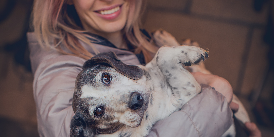 С возвращением?