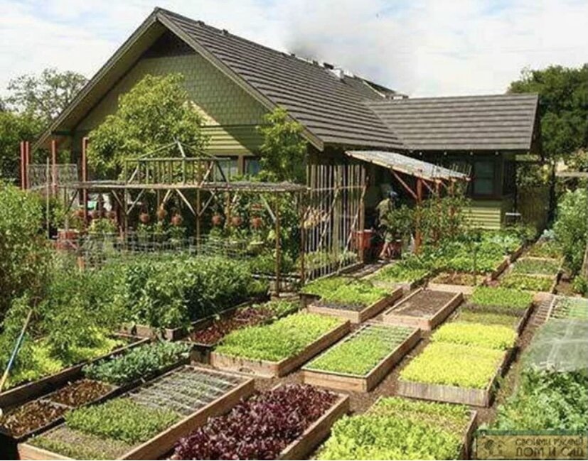 Фото из свободного доступа 