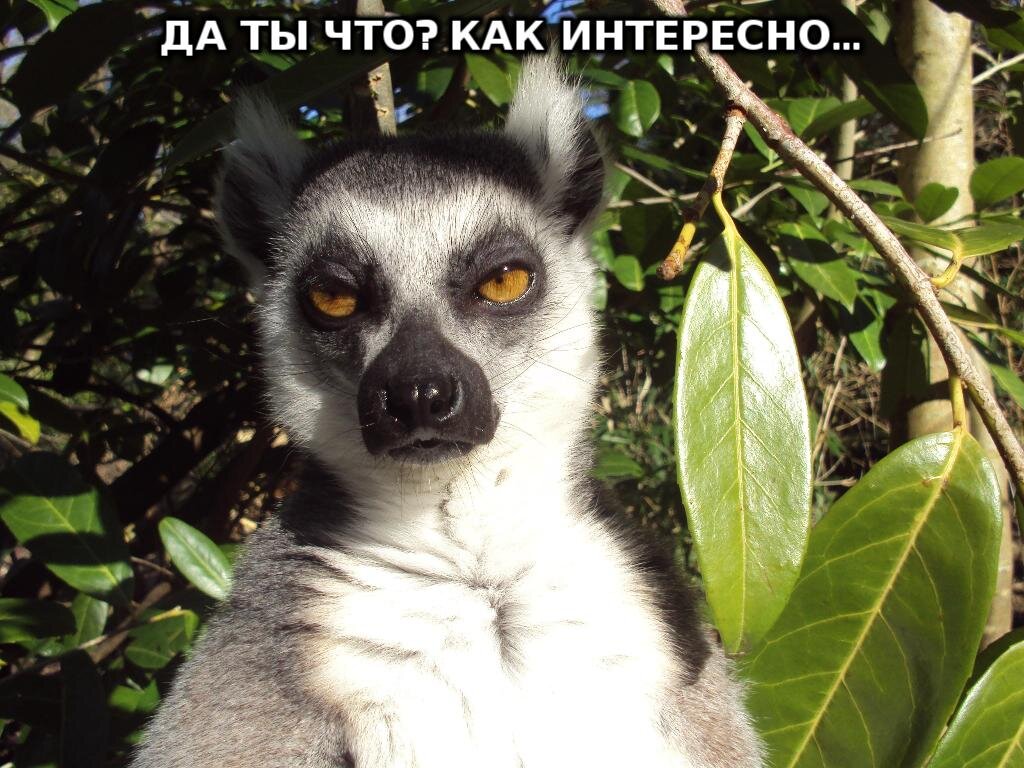 Друг язвит, потому что ему скучно с тобой.