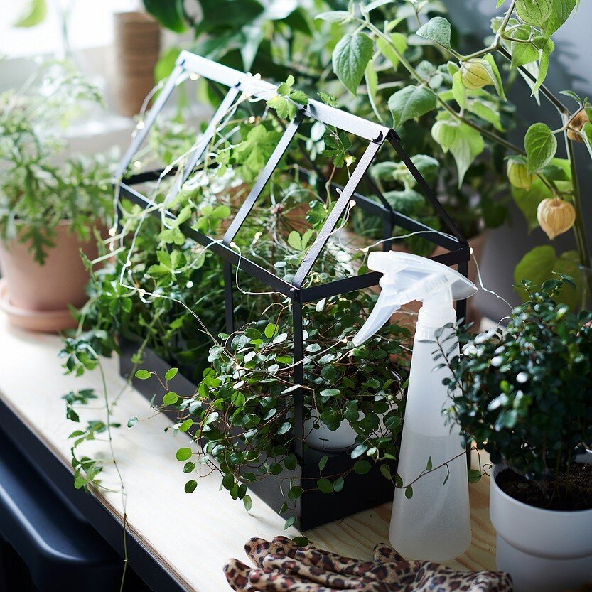 Парники для домашних растений