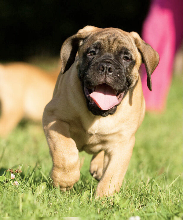 Фото взято с gallery.ru