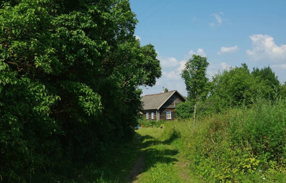 Фото из интернета 