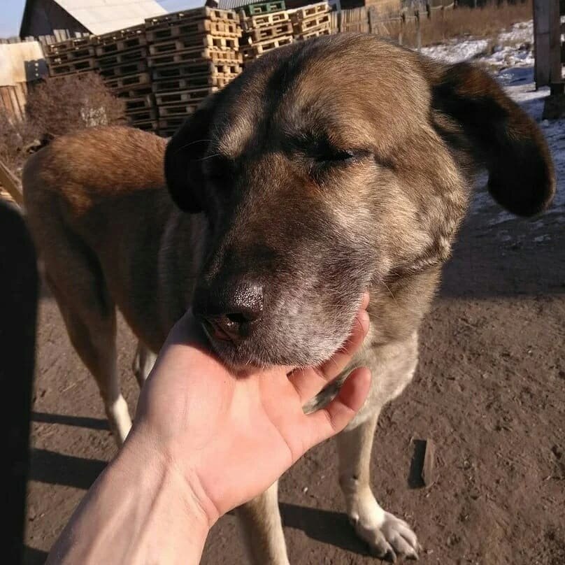 Доброе отношение ценят все