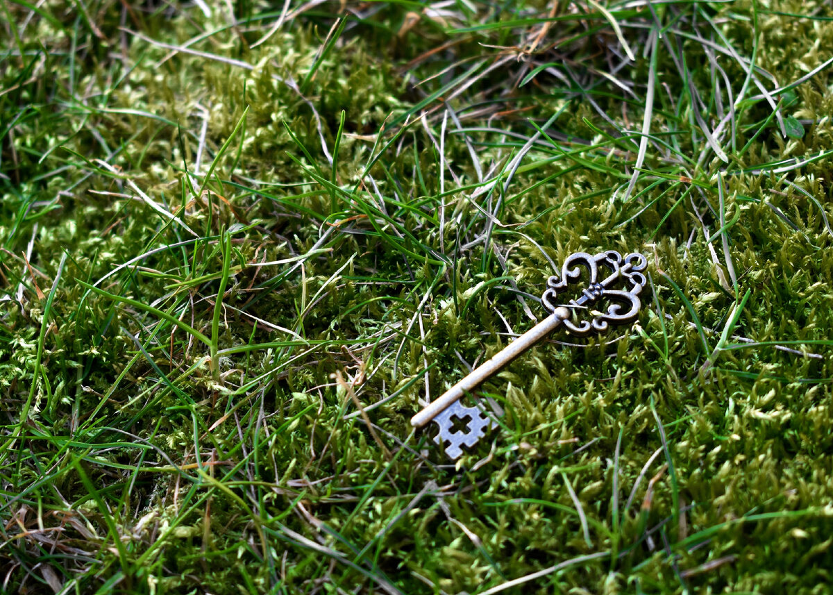 Ключ скелета. Skeleton Key Plant