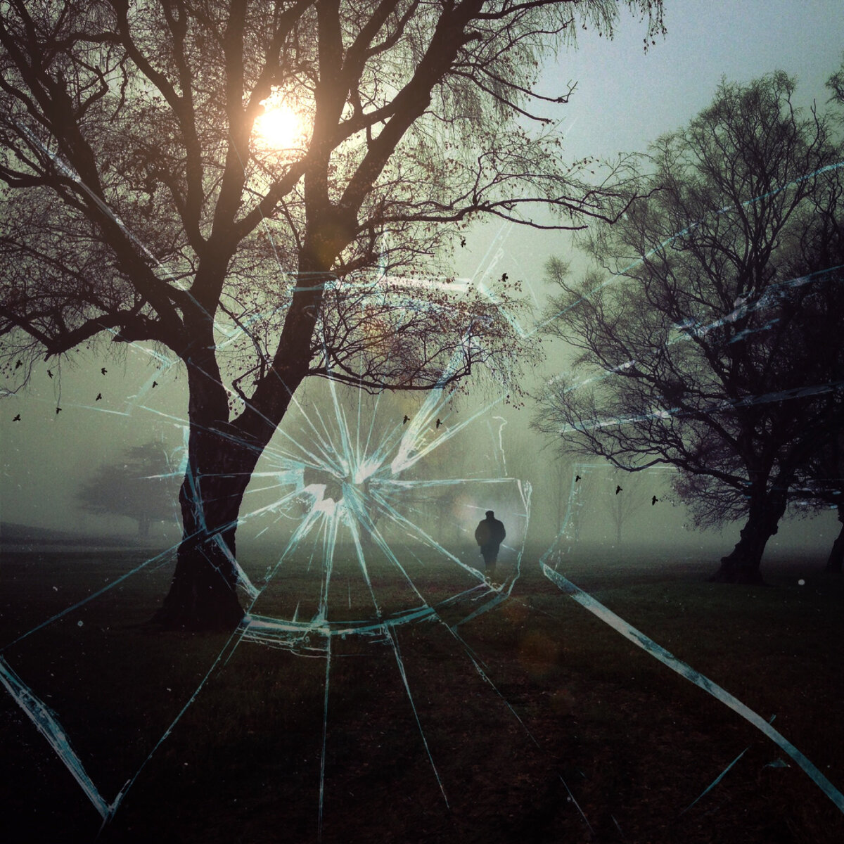 Фото из открытых источников в интернете (фотосток Pixabay.com)