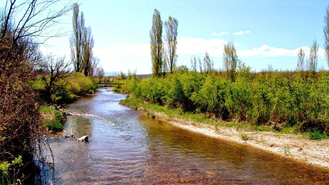 А это — типичное место моего обитания