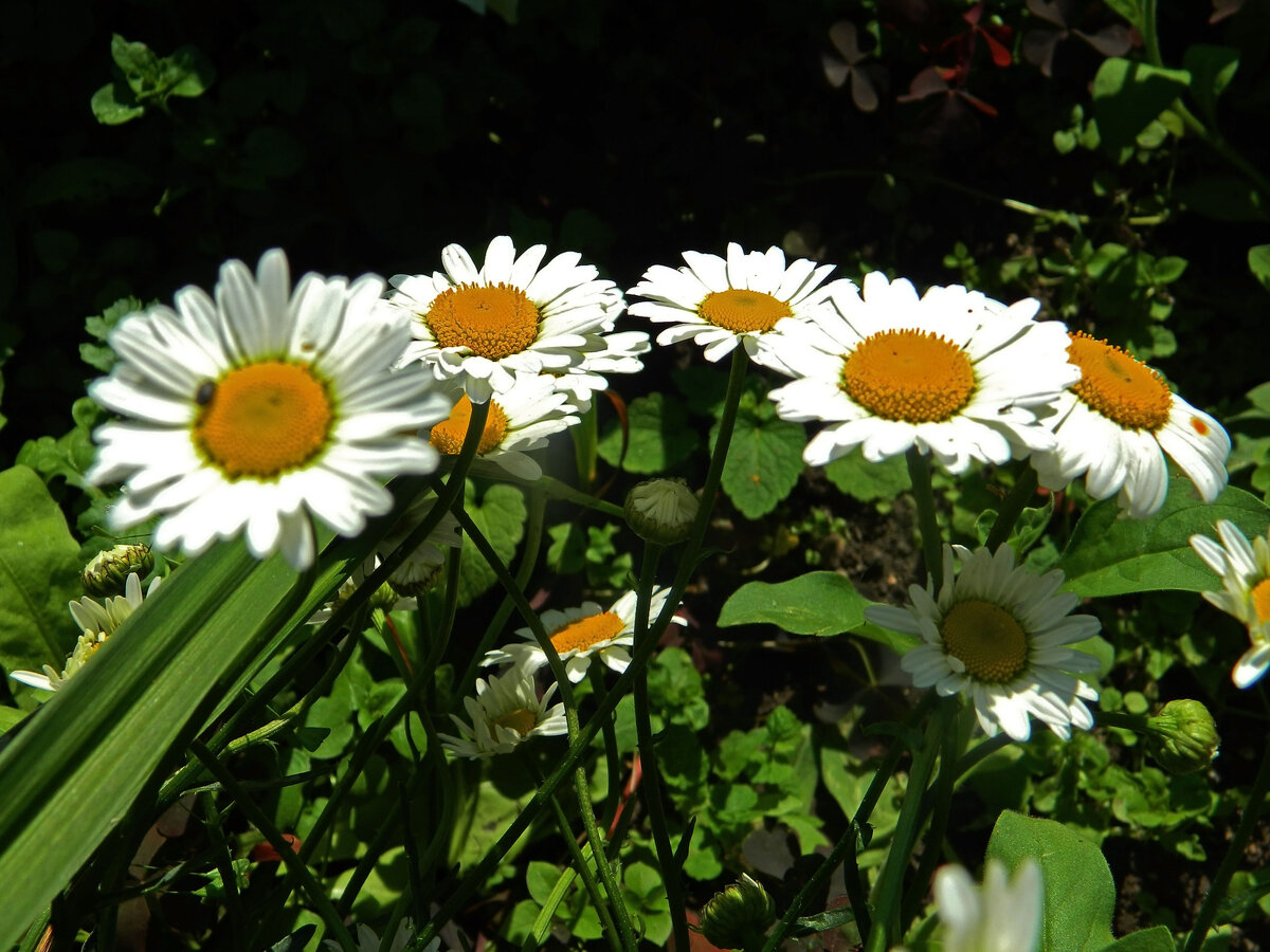 фото автора канала