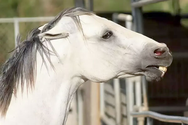 Источник фото сервис Яндекс.Картинки