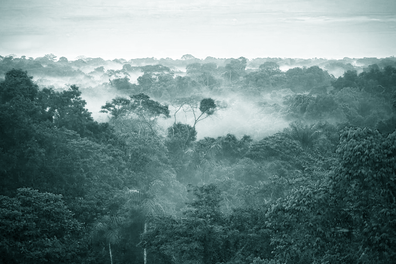 Все фото взяты из открытых источников