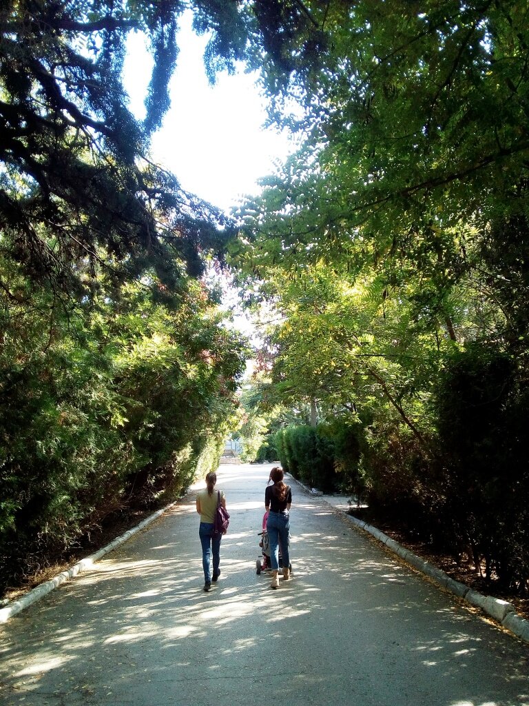 Сегодня в парке Литфонда. Фото автора канала