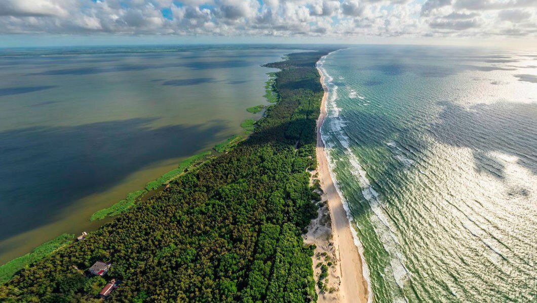 Куршская коса — песчаная коса, расположенная на побережье Балтийского моря и Куршского залива. Она представляет собой узкую и длинную полосу земли саблевидной формы, отделяющую Куршский залив от Балтийского моря и простирающуюся от города Зеленоградск Калининградской области до города Клайпеды (Смильтине) (Литва). Название косы происходит от названия древних племён куршей, живших здесь до колонизации Пруссии немцами.