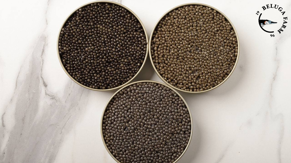 Чёрная икра, добытая от трёх разных рыб: русского осетра, бестера и белуги.