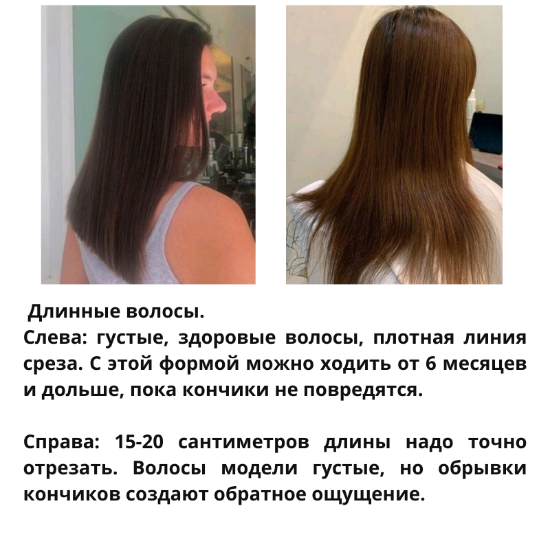 Срез длинных волос сзади (65 фото)