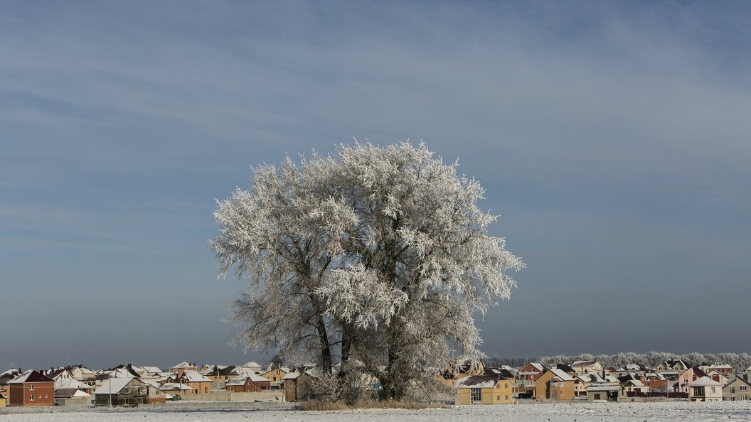    Фото: globallookpress.com