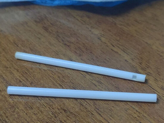   Екатерина Свешникова