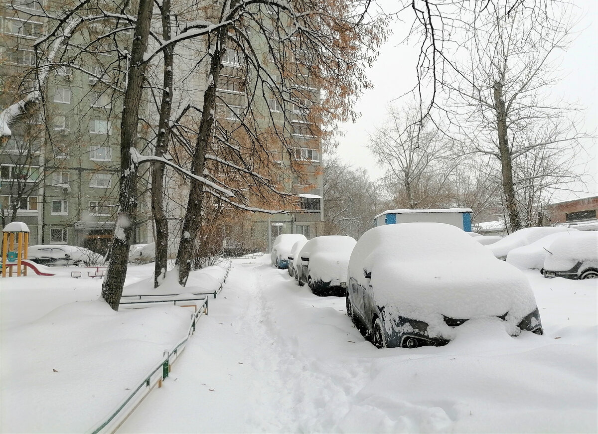 В Москву пришла снежная зима - фото с воскресной прогулки по Москве | ИСКРА  | Дзен