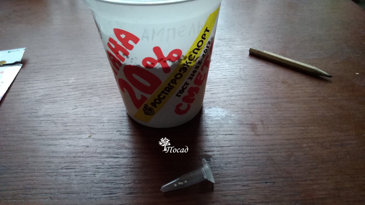 Поначалу такая фасовка семян меня удивила. Но со временем я привыкла.