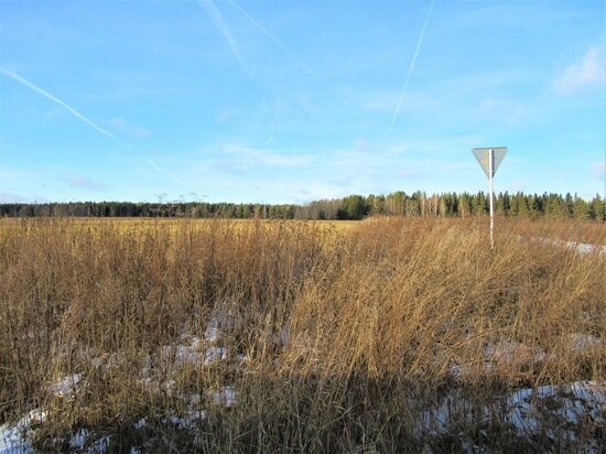     Фото: Николай Курилов / МК-Урал.