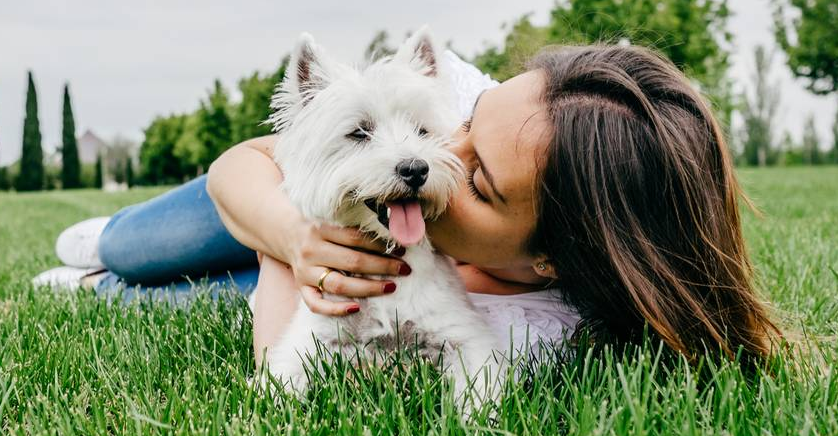 Взято откуда-то из сети