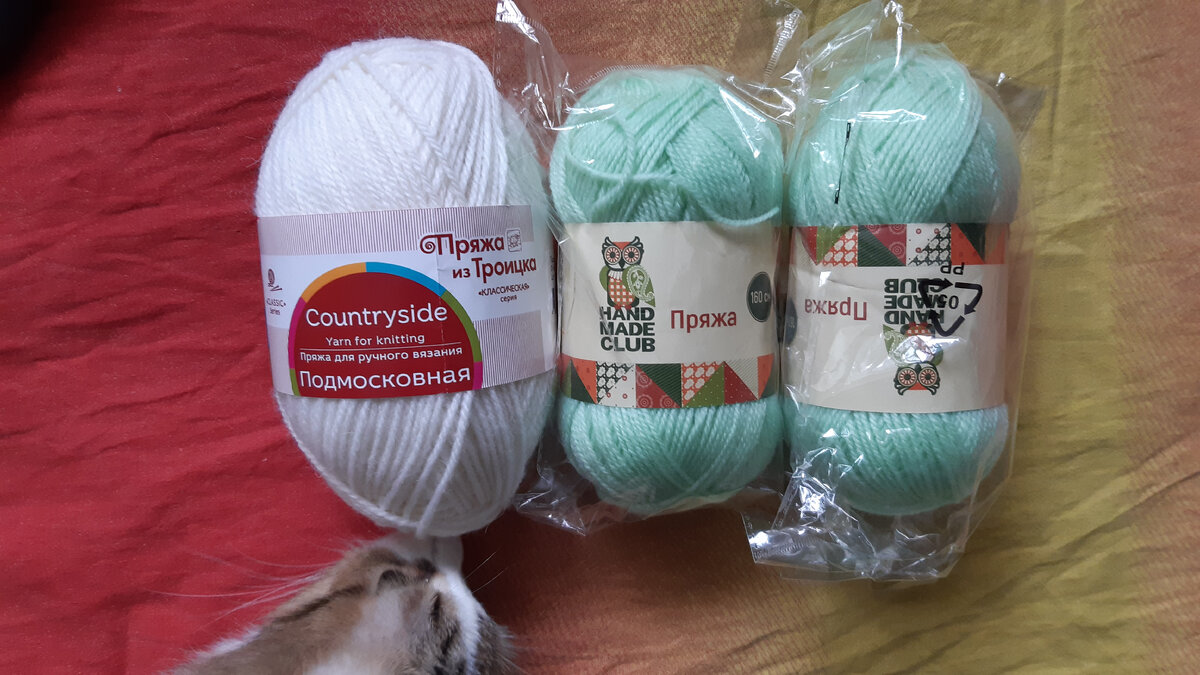 Кошка инспектирует принесенное.