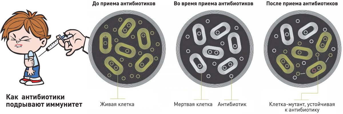 Бактериальные антибиотики. Прием антибиотиков по часам. Антибиотики и микроорганизмы. Бактерии для приема с антибиотиками. Бактерии воды устойчивые к антибиотикам.