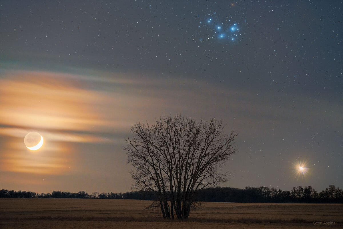 Венера (внизу справа на фото) – самое яркое регулярное светило на земном небе после Солнца и Луны. Весенними вечерами 2023 г. она будет видна особенно хорошо.
Автор фото: S. Aspinall